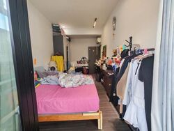 Daisy Park (D13), Terrace #624096991